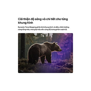 LG SMART TV AI LB65 với Dynamic Tone Mapping nâng cao cảnh chú gấu trong rừng bằng cách phân tích đường cong tông màu theo từng khung hình, mang lại kết cấu phong phú hơn với độ tương phản màu sắc và độ rõ nét hình ảnh được cải thiện.